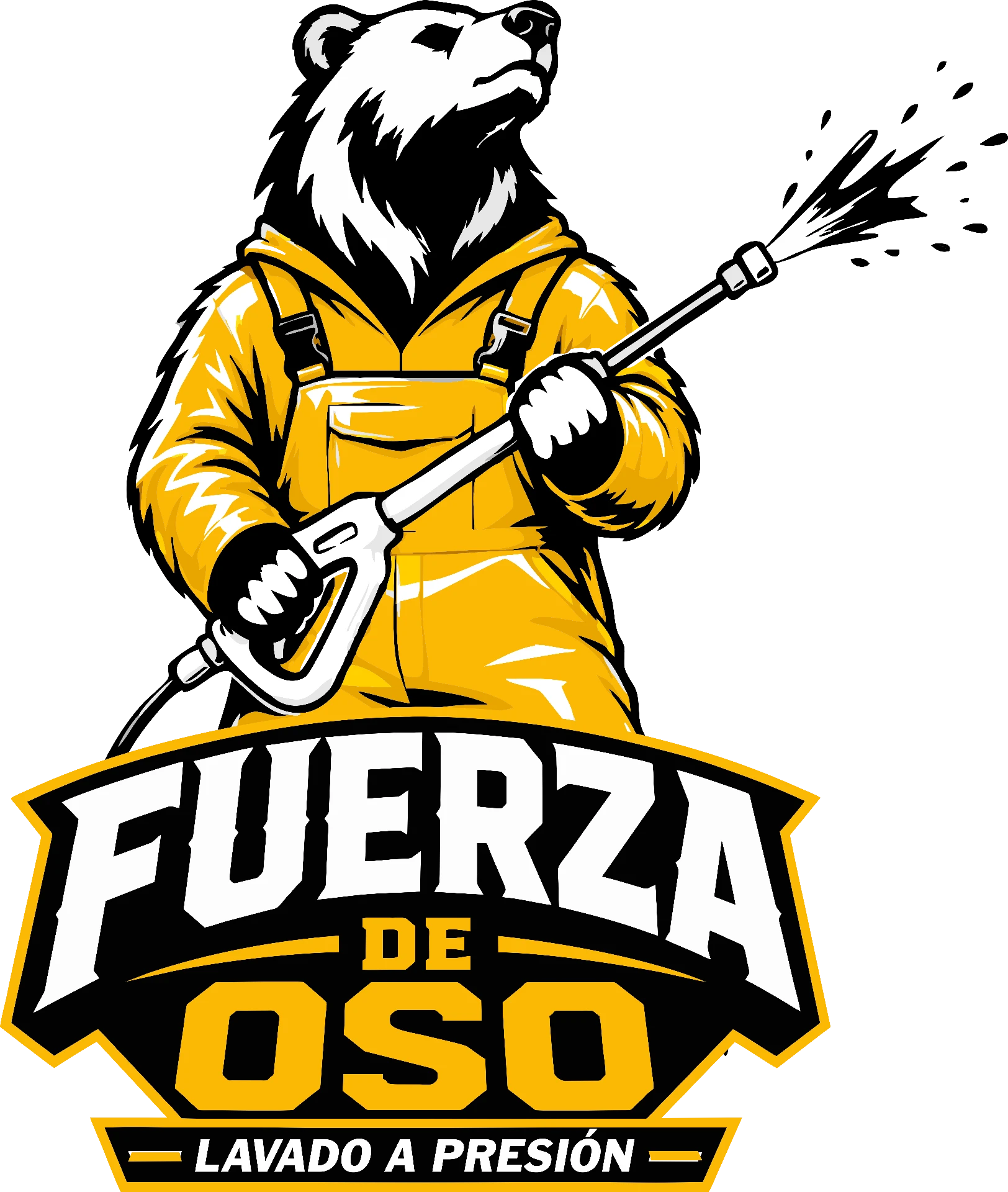 Fuerza de Oso Power Washing